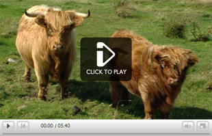 Watch Brue Highlanders
