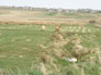 Click image to enlarge