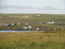 Click image to enlarge