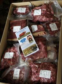 Highland Beef