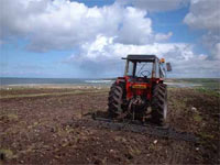 Harrowing a freshly ploughed acre of ground for grass seeding