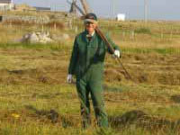 Hay making on the top field on Croft No5 Brue – between the showers!