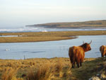 Caileag Bheag 22nd of Pennygown on No4 Brue overlooking Croig Bay
