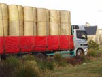 Hay and straw arrives ahead of the snow