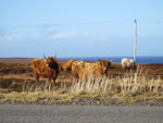 Good February day on the moor