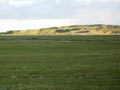 machair dunes view