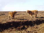 Mairi & Morag meet up for the first time!