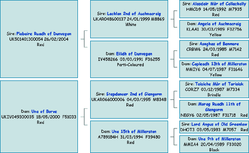 Pedigree of Bella a&rsquo; Ghlinne of Brue