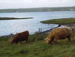 Floraidh of Tom Buidhe & Magaidh a' Ghlinne of Brue