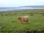 Piobaire an Eilein of Brue checks the surf