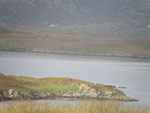 'Calum Ruadh of Brue' (on left) with Rudha na Sithean cows at Kirkibost, Bernera