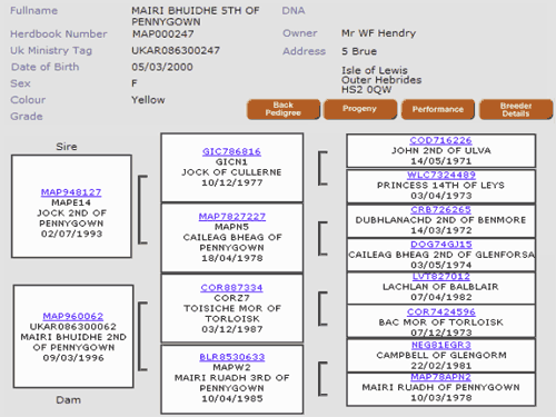 Pedigree details from Highland Cattle Society Database