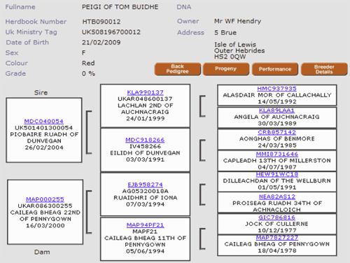 Pedigree details from Highland Cattle Society Database