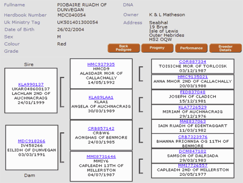 Pedigree details from Highland Cattle Society Database