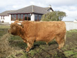 Alasdair Ruadh of Craigowmill