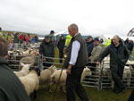Sheep judge Richard MacLennan, Harris