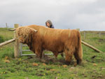 Calum Ruadh of Brue