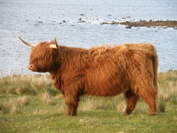 Caraid an Teallaich of Broad Bay