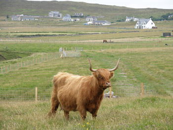 Una of Borve