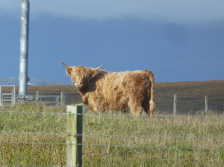 Seònaid an Eilein 2nd of Brue