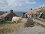 'Ceit an Eilein of Brue' & 'Magaidh a' Ghlinne of Brue' on set at Garenin