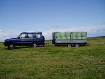 On the uphill pull - neighbour Iain Campbell lends his Landrover’s power to pull a load of 36 x 60kg mini-silage bales!